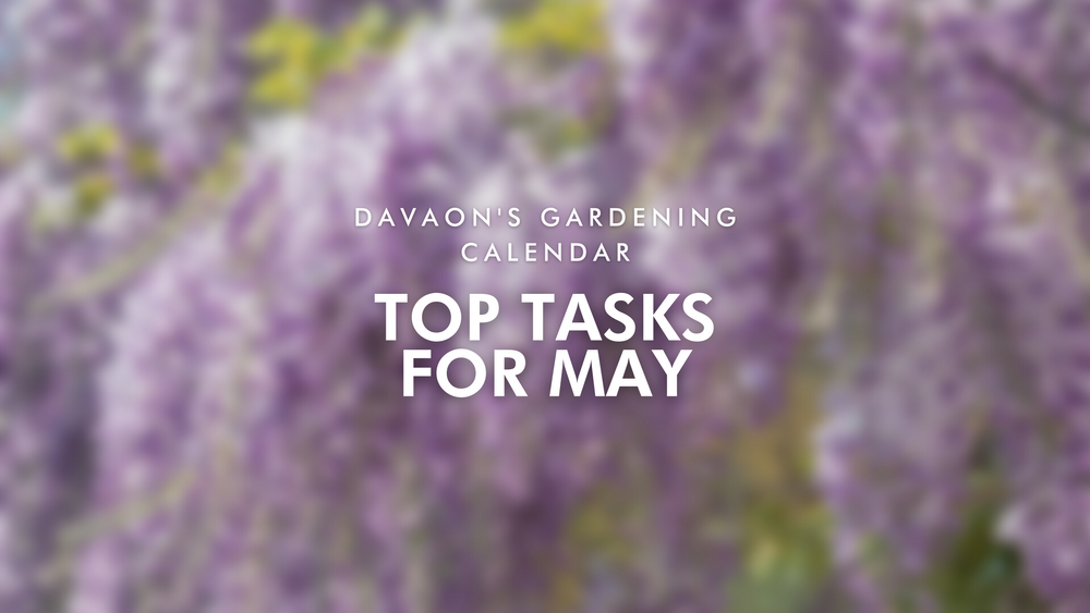 Davaon's Gardening Calendar: Top Tasks for May