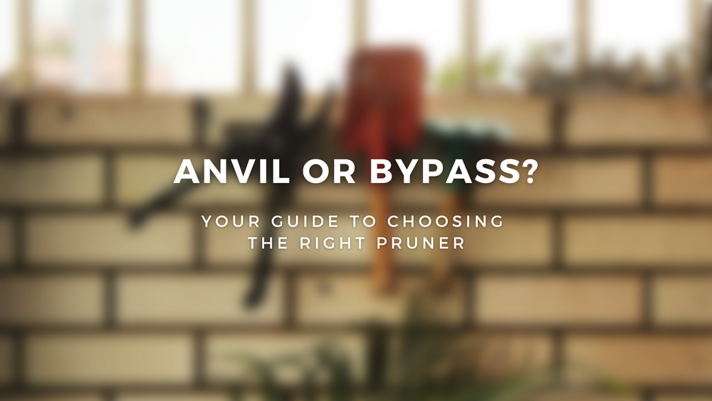 Bypass or Anvil? Your Guide to Choosing The Right Pruner