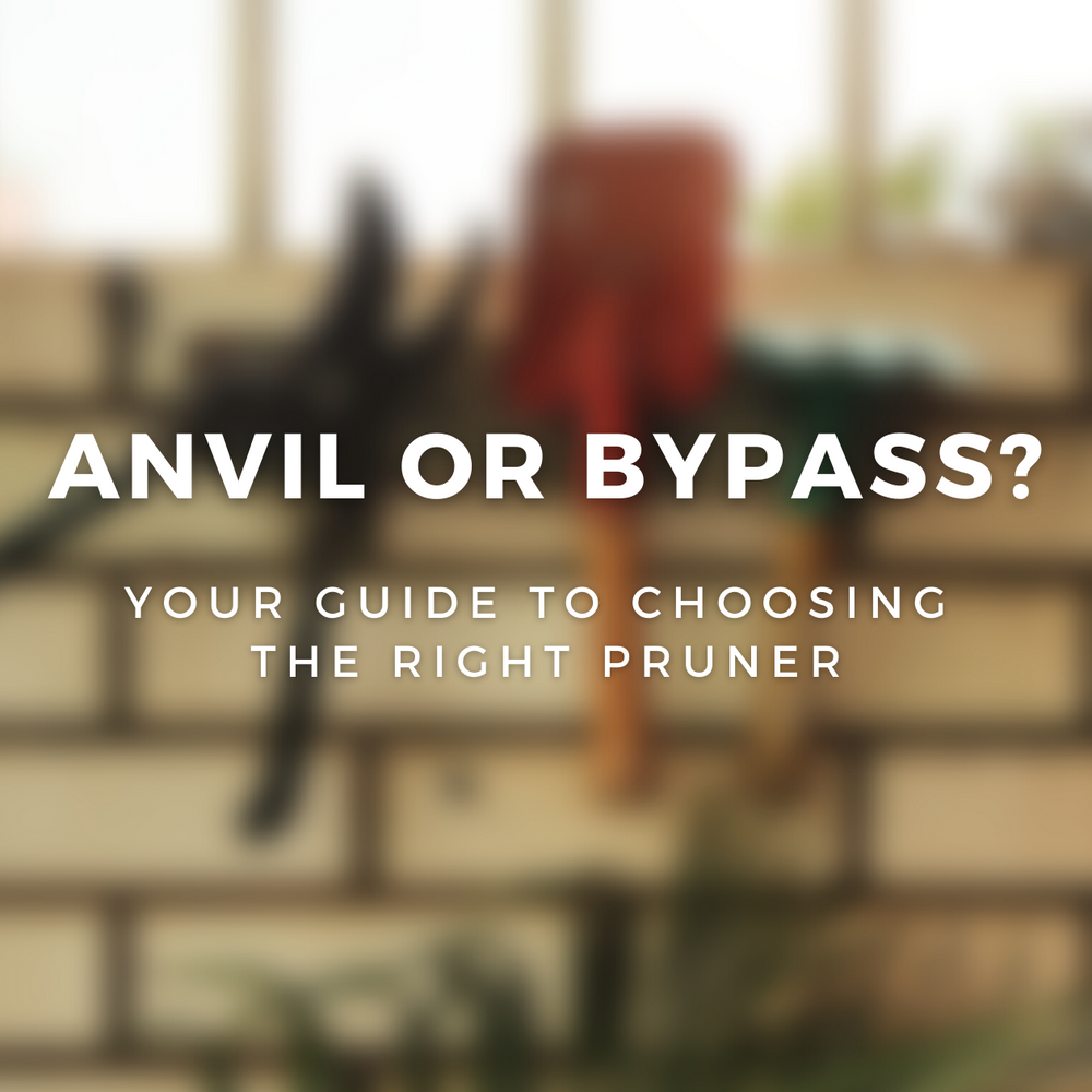 Bypass or Anvil? Your Guide to Choosing The Right Pruner