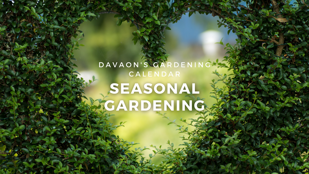 Davaon's pro gardening calendar: a guide to seasonal gardening